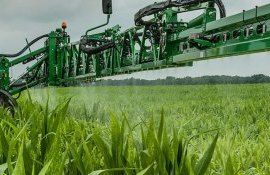 Будет ли толк от полного запрета глифосата в Евросоюзе - agroexpert.md