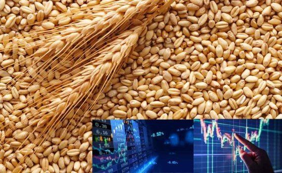 Биржевые тенденции на мировом рынке зерна: четверг 05 октября 2023 - agroexpert.md