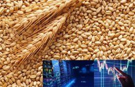 Биржевые тенденции на мировом рынке зерна: четверг 05 октября 2023 - agroexpert.md