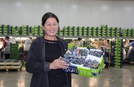 Biaz Salkim fructe UE - agroexpert.md