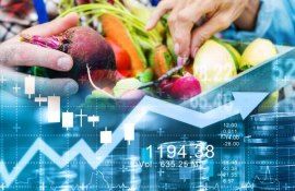 ФАО: динамика мировых цен на продовольствие - август 2003 - agroexpert.md