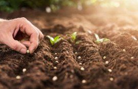 Indice stres agricultură SHS acord FAO - agroexpert.md