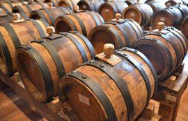 fermentare vin intoxicații IGSU -agroexpert.md
