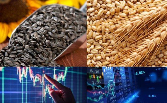 Некоторые октябрьские цены зерновых и масличных культур на Украинской бирже - agroexpert.md