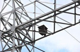 cuiburi păsări stâlpi electrici - agroexpert.md