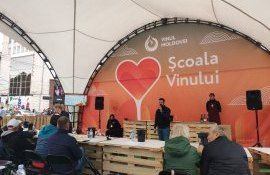 Școala Vinului Ziua Națională a Vinului - agroexpert.md