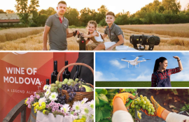 Подборка самых интересных новостей - agroexpert.md