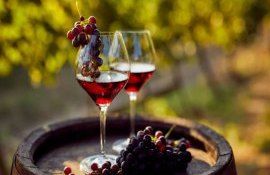 sector vitivinicol Moldova - agroexpert.md