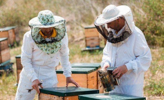 oportunități afaceri Cahul Ungheni - agroexpert.md