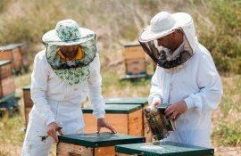 oportunități afaceri Cahul Ungheni - agroexpert.md