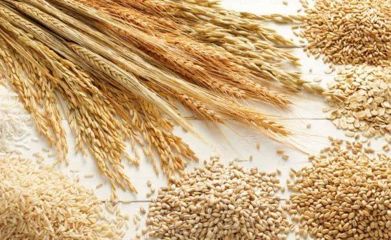 Прогноз урожая зерновых в ЕС ухудшили из-за засухи - agroexpert.md