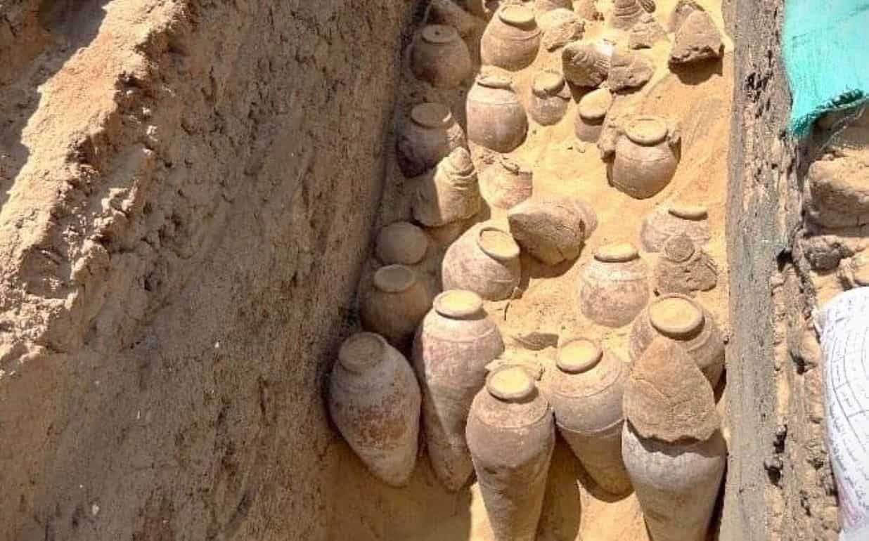В Египте откопали вино с выдержкой пять тысяч лет - agroexpert.md