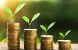 antreprenori grant dezvoltare afaceri - agroexpert.md
