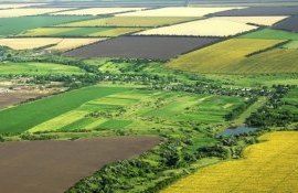 camere agricole - agroexpert.md