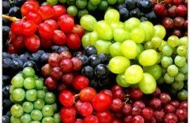 Moldova export struguri - agroexpert.md
