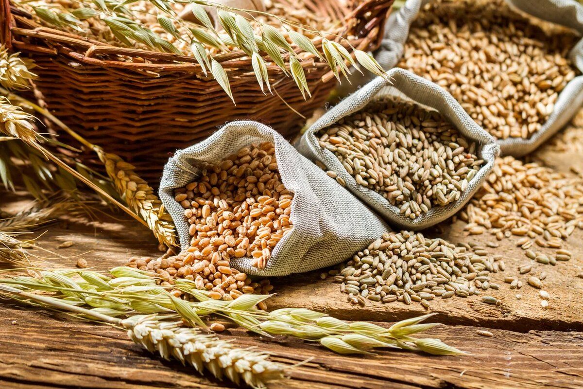 Slusari România restricții import cereale Moldova - agroexpert.md
