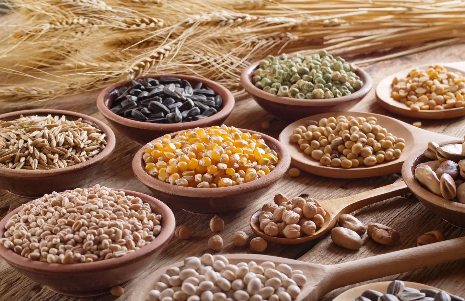 Regulamentul privind licențierea importului de cereale - agroexpert.md