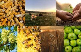 Conferința Pria Agriculture - agroexpert.md