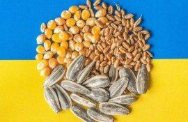 cereale import Trans-Oil - agroexpert.md