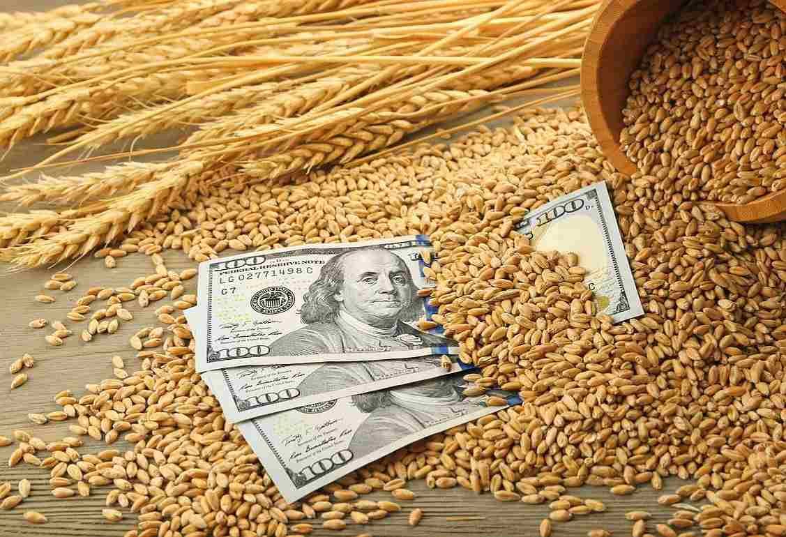 Мировой рынок зерна: фьючерсы на пшеницу, кукурузу резко выросли - agroexpert.md