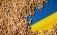 export Ucraina Coridoare Solidaritate - agroexpert.md
