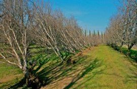 investitori livadă suport - agroexpert.md