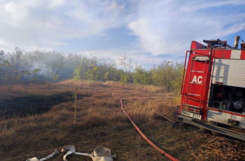 incendiu țigară pădure - agroexpert.md