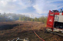 incendiu țigară pădure - agroexpert.md