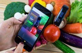 Технология которая позволит быстро и точно определять спелость фруктов - agroexpert.md