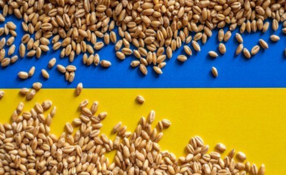 export cereale Ucraina coridor temporar - agroexpert.md