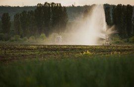 Лучшее направление развития сектора ирригации – «умное орошение» - agroexpert.md
