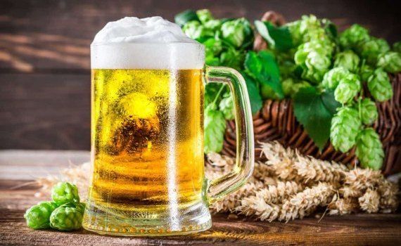 Как изменения климата отразится на вкусе европейского пива - agroexpert.md