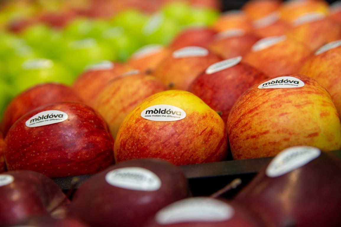 Слабый экспорт из РМ яблока урожая-2023 в начале сезона - agroexpert.md