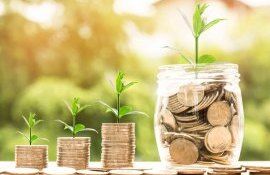 Guvern sistem acordare garanții financiare - agroexpert.md