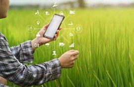 proces de producție intensificare - agroexpert.md