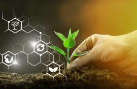proces de producție în cadrul entităților agricole - agroexpert.md
