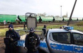 Украинский транзит зерна через страны ЕС значительно меньше возможного - agroexpert.md