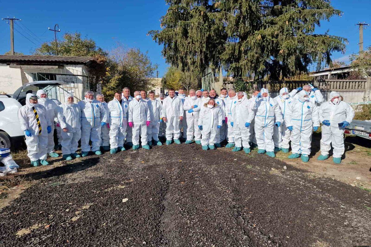 ANSA combatere gripă aviară - agroexpert.md