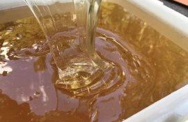 Экспорт Украинского меда достиг годового максимума, но цены минимальны - agroexpert.md