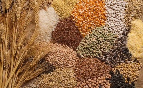 Slusari preț cereale oleaginoase import - agroexpert.md