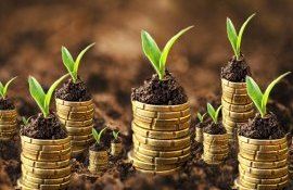 Fermieri sprijin financiar Japonia - agroexpert.md