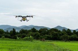 Moldova grant inovații digitale startup - agroexpert.md