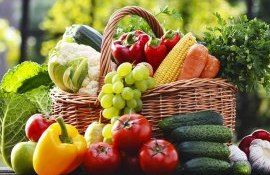 asociații vizite horticultură - agroexpert.md