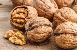 Экспорт грецкого ореха из Молдовы: первые позитивные сигналы рынка - agroexpert.md