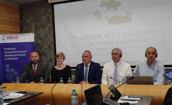 sectorul horticol Moldova standarde UE - agroexpert.md