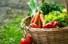 legume export UE - agroexpert.md