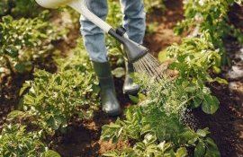  exploatații agricole familiale - agroexpert.md
