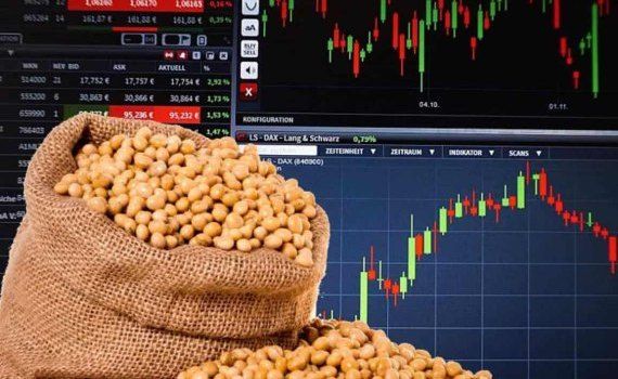 Мировой рынок зерна, вторник: цены на сою резко выросли - agroexpert.md