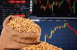 Мировой рынок зерна, вторник: цены на сою резко выросли - agroexpert.md