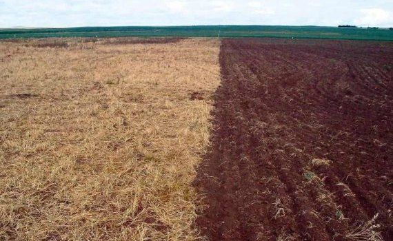 Как черный пар влияет на запасы продуктивной влаги в почве - agroexpert.md